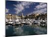 Marina, Cabo San Lucas, Baja California, Mexico-Walter Bibikow-Mounted Premium Photographic Print