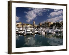 Marina, Cabo San Lucas, Baja California, Mexico-Walter Bibikow-Framed Photographic Print