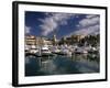 Marina, Cabo San Lucas, Baja California, Mexico-Walter Bibikow-Framed Photographic Print