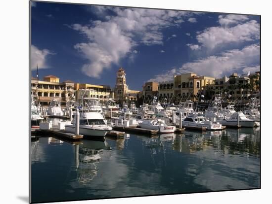 Marina, Cabo San Lucas, Baja California, Mexico-Walter Bibikow-Mounted Photographic Print