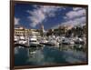 Marina, Cabo San Lucas, Baja California, Mexico-Walter Bibikow-Framed Photographic Print