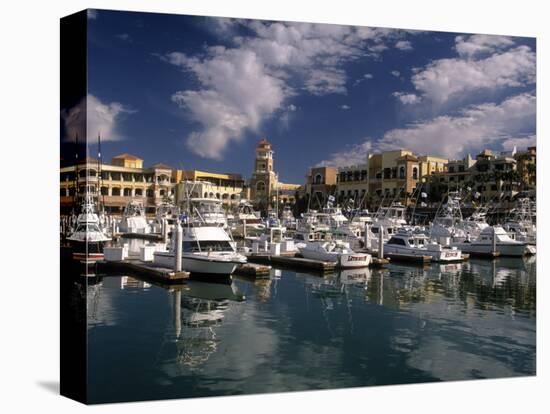 Marina, Cabo San Lucas, Baja California, Mexico-Walter Bibikow-Stretched Canvas