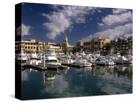 Marina, Cabo San Lucas, Baja California, Mexico-Walter Bibikow-Stretched Canvas