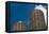 Marina City Morning-Steve Gadomski-Framed Stretched Canvas