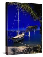 Marina De La Paz, Baja California, Mexico-Walter Bibikow-Stretched Canvas