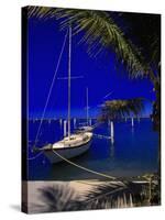 Marina De La Paz, Baja California, Mexico-Walter Bibikow-Stretched Canvas