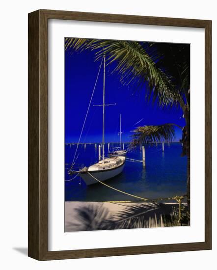 Marina De La Paz, Baja California, Mexico-Walter Bibikow-Framed Photographic Print