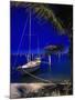 Marina De La Paz, Baja California, Mexico-Walter Bibikow-Mounted Photographic Print