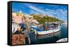Marina di Corricella, Procida, Flegrean Islands, Campania, Italy, Europe-Neil Farrin-Framed Stretched Canvas