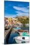 Marina di Corricella, Procida, Flegrean Islands, Campania, Italy, Europe-Neil Farrin-Mounted Premium Photographic Print