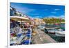 Marina di Corricella, Procida, Flegrean Islands, Campania, Italy, Europe-Neil Farrin-Framed Photographic Print