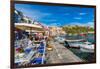 Marina di Corricella, Procida, Flegrean Islands, Campania, Italy, Europe-Neil Farrin-Framed Photographic Print