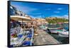 Marina di Corricella, Procida, Flegrean Islands, Campania, Italy, Europe-Neil Farrin-Framed Stretched Canvas