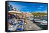 Marina di Corricella, Procida, Flegrean Islands, Campania, Italy, Europe-Neil Farrin-Framed Stretched Canvas