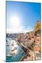 Marina di Corricella, Procida, Flegrean Islands, Campania, Italy, Europe-Neil Farrin-Mounted Photographic Print