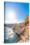 Marina di Corricella, Procida, Flegrean Islands, Campania, Italy, Europe-Neil Farrin-Stretched Canvas