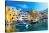 Marina di Corricella, Procida, Flegrean Islands, Campania, Italy, Europe-Neil Farrin-Stretched Canvas
