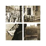 Pont Neuf-Marina Drasnin Gilboa-Giclee Print