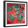 Black Frame