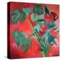 Stretched Canvas