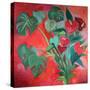 Stretched Canvas