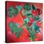 Stretched Canvas