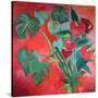 Stretched Canvas