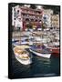 Marina Grande, Island of Capri, Campania, Italy, Mediterranean-Roy Rainford-Framed Stretched Canvas