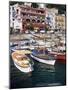 Marina Grande, Island of Capri, Campania, Italy, Mediterranean-Roy Rainford-Mounted Photographic Print