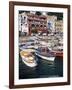 Marina Grande, Island of Capri, Campania, Italy, Mediterranean-Roy Rainford-Framed Photographic Print