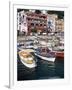 Marina Grande, Island of Capri, Campania, Italy, Mediterranean-Roy Rainford-Framed Photographic Print