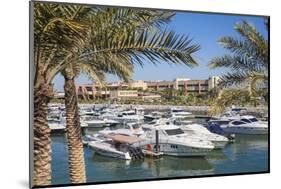 Marina Hotel Overlooking Yacht Club-Jane Sweeney-Mounted Photographic Print