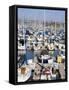 Marina in Dana Point Harbor, Orange County, California, United States of America, North America-Richard Cummins-Framed Stretched Canvas