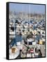 Marina in Dana Point Harbor, Orange County, California, United States of America, North America-Richard Cummins-Framed Stretched Canvas