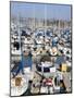 Marina in Dana Point Harbor, Orange County, California, United States of America, North America-Richard Cummins-Mounted Photographic Print