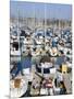 Marina in Dana Point Harbor, Orange County, California, United States of America, North America-Richard Cummins-Mounted Photographic Print