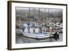 Marina in Pillar Point Harbor, Half Moon Bay, California, United States of America, North America-Richard Cummins-Framed Photographic Print