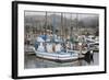 Marina in Pillar Point Harbor, Half Moon Bay, California, United States of America, North America-Richard Cummins-Framed Photographic Print