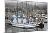 Marina in Pillar Point Harbor, Half Moon Bay, California, United States of America, North America-Richard Cummins-Mounted Photographic Print