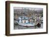 Marina in Pillar Point Harbor, Half Moon Bay, California, United States of America, North America-Richard Cummins-Framed Photographic Print