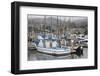 Marina in Pillar Point Harbor, Half Moon Bay, California, United States of America, North America-Richard Cummins-Framed Photographic Print