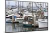 Marina in Pillar Point Harbor, Half Moon Bay, California, United States of America, North America-Richard Cummins-Mounted Photographic Print