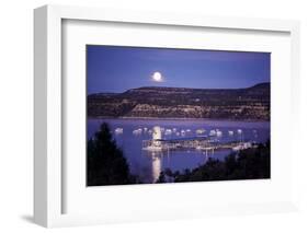 Marina in State Recreation Area, Navaho Lake, New Mexico, USA-Walter Rawlings-Framed Photographic Print