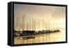 Marina Morning I-Danny Head-Framed Stretched Canvas