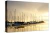 Marina Morning I-Danny Head-Stretched Canvas