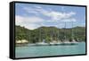 Marina on Praslin Island, Seychelles, Indian Ocean Islands-Guido Cozzi-Framed Stretched Canvas