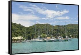 Marina on Praslin Island, Seychelles, Indian Ocean Islands-Guido Cozzi-Framed Stretched Canvas