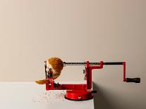 Scotch Egg Being Sliced by an Apple Peeler-Marina Ortega-Framed Stretched Canvas