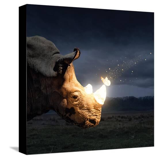 Stretched Canvas Print, , large