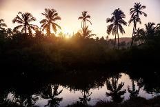 House Boat in Backwaters-Marina Pissarova-Photographic Print